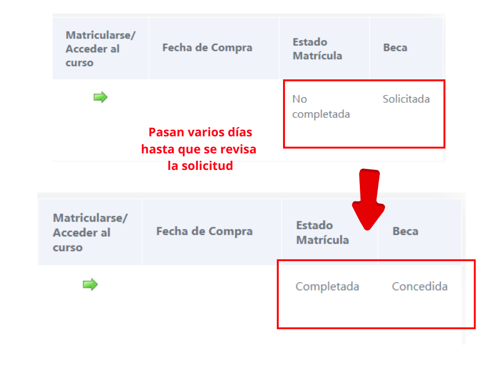 Estado de inscripción o beca