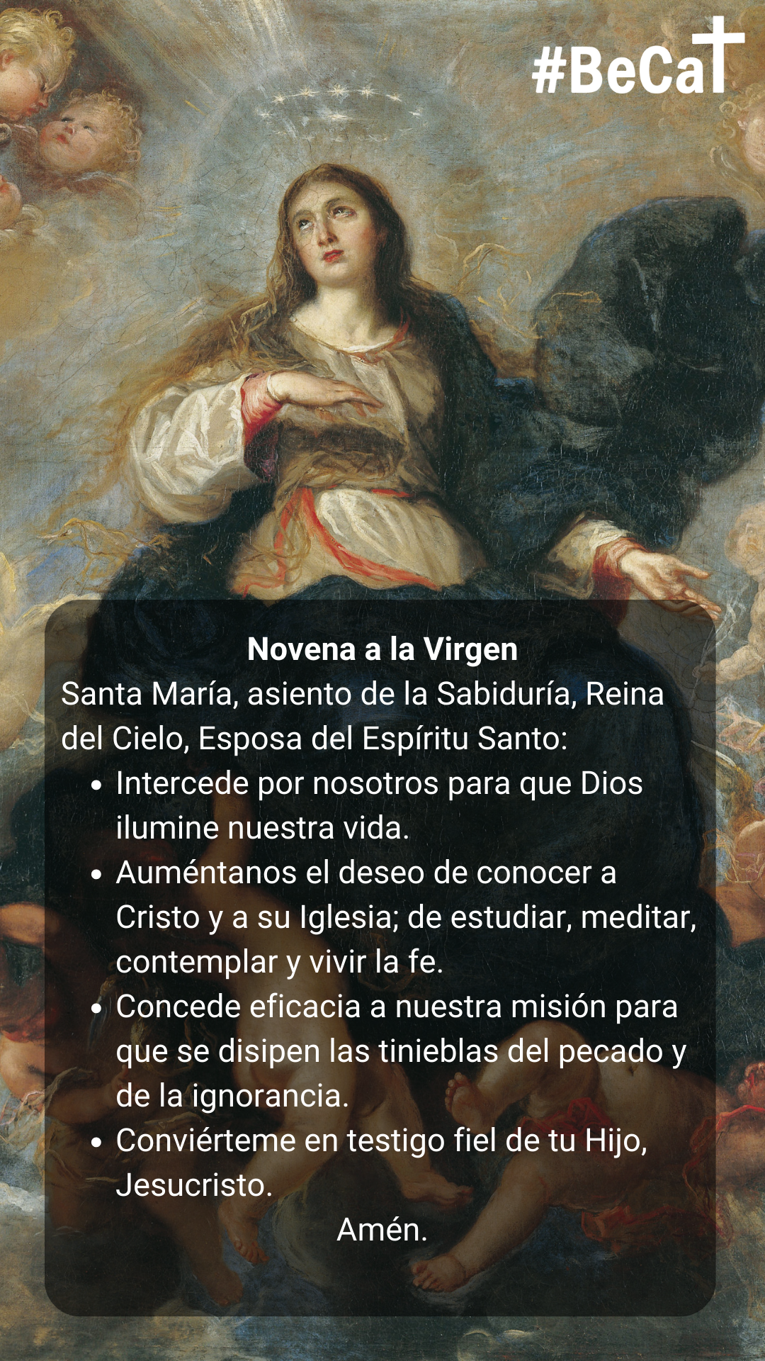 Novena Virgen